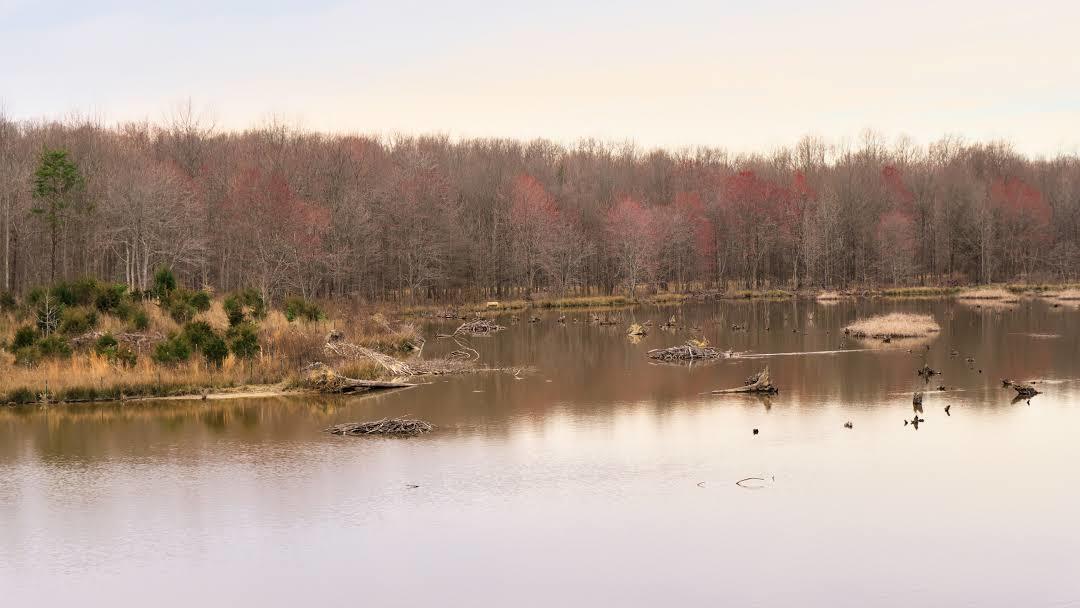 Huntley Meadows Park